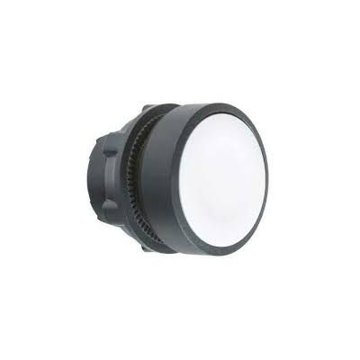 Schneider 22mm fehér síkban levő ZB5AA1